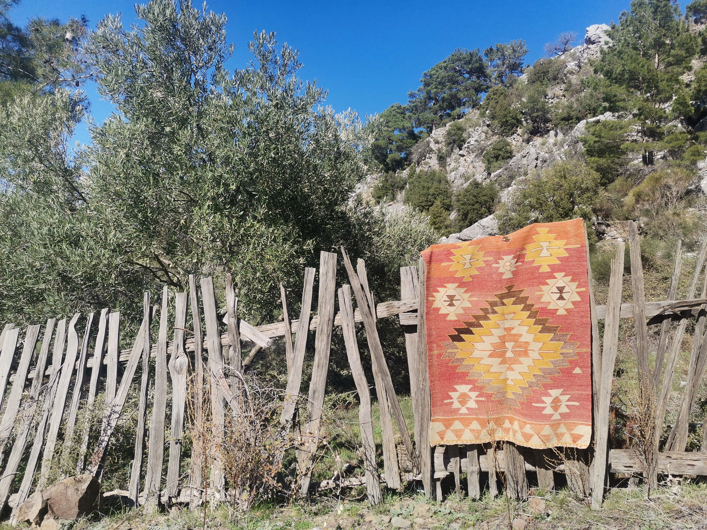 Tuva Anatolian Rug