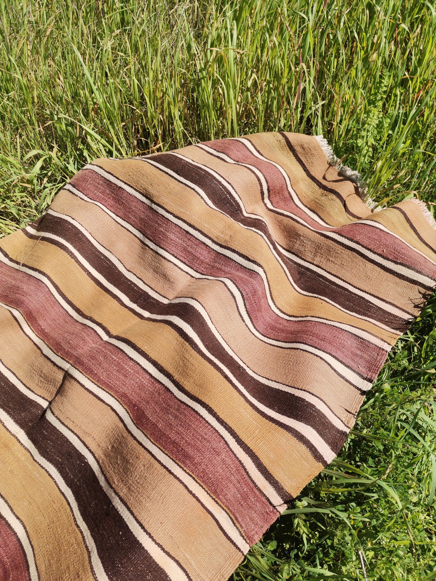 Vega Anatolian Rug