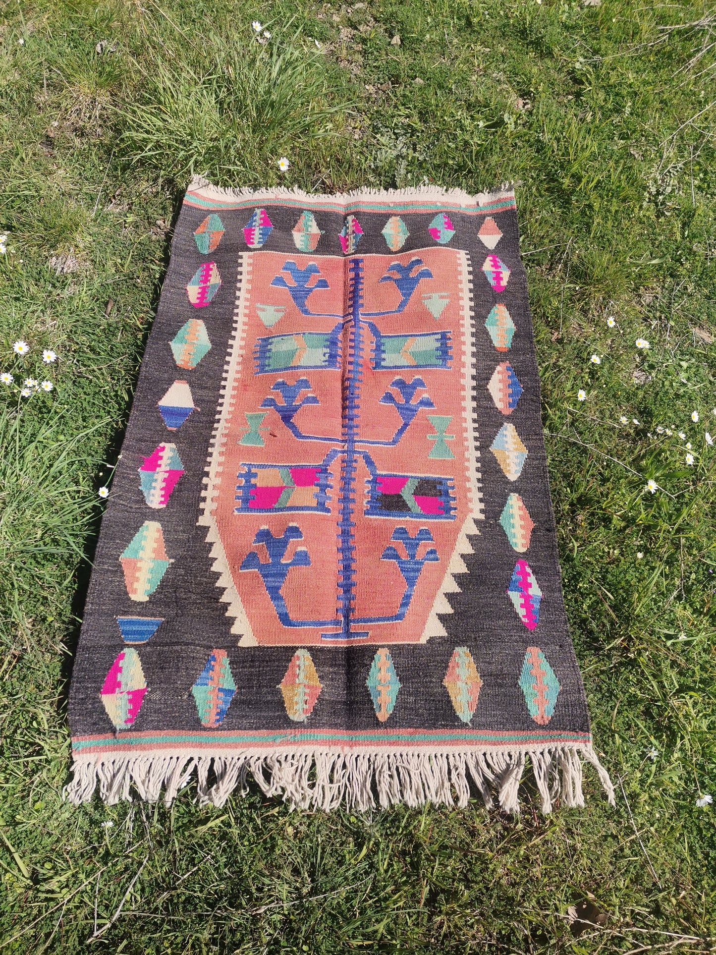 Thais Anatolian Rug