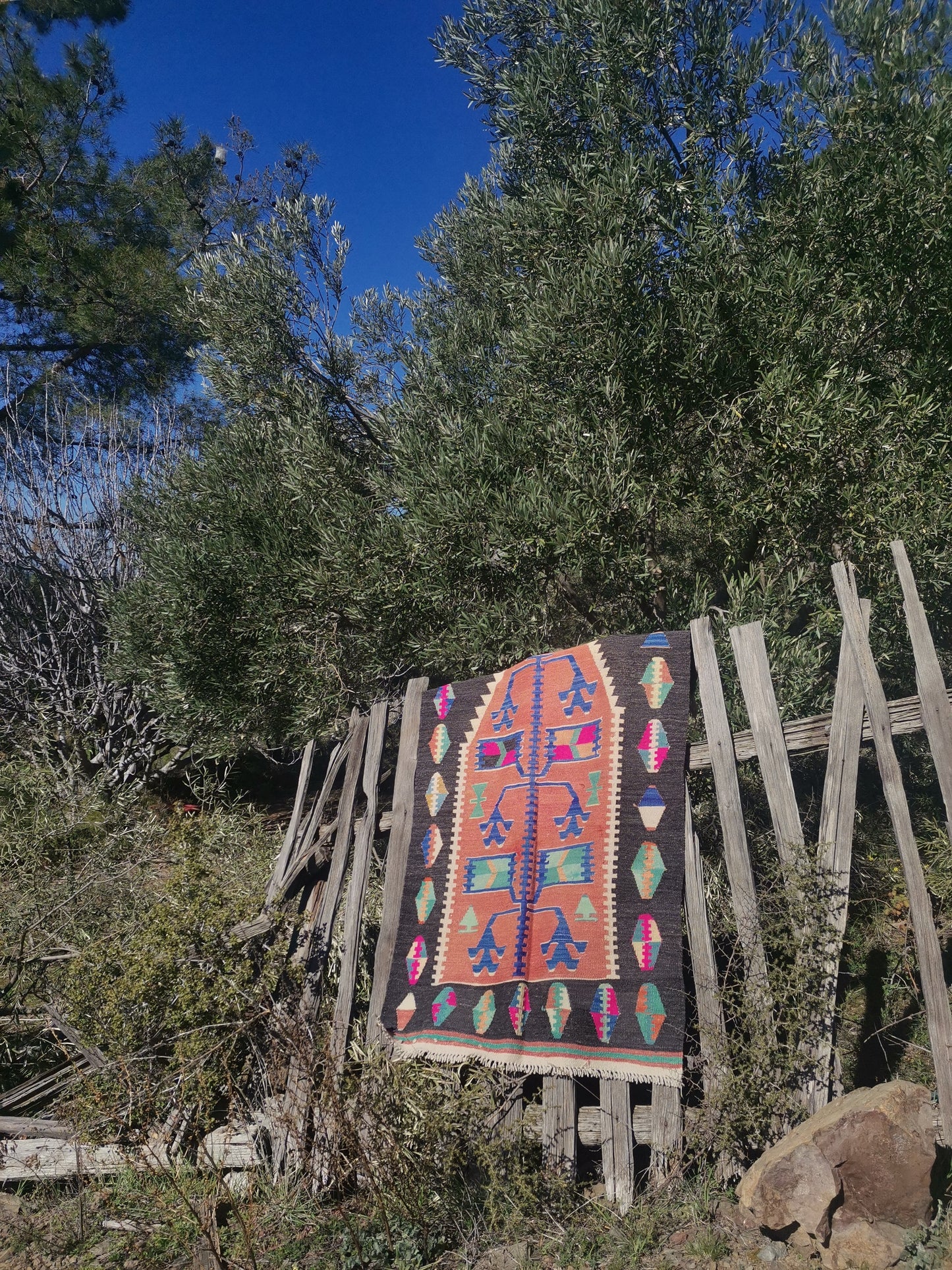 Thais Anatolian Rug