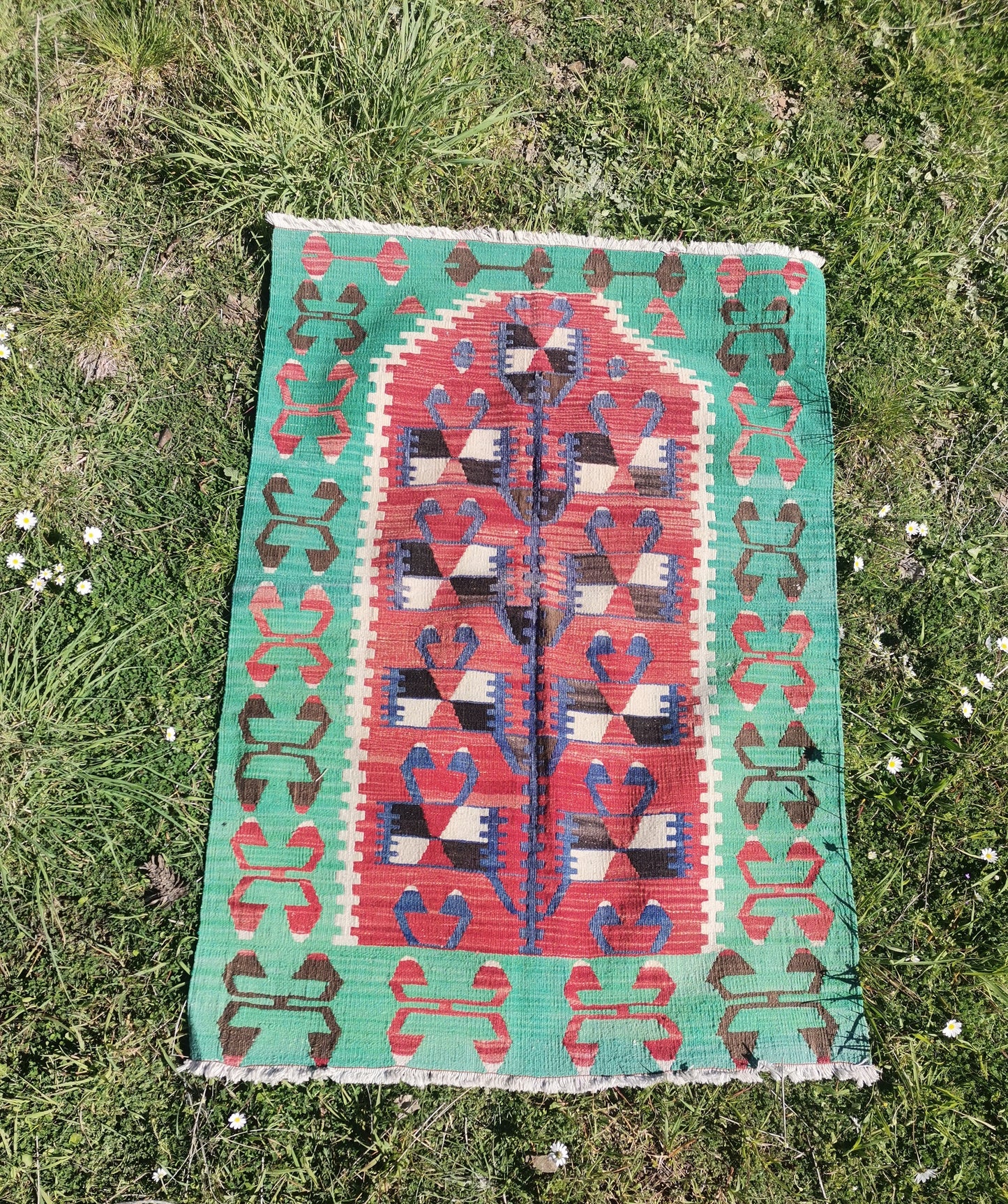 Alva Anatolian Rug