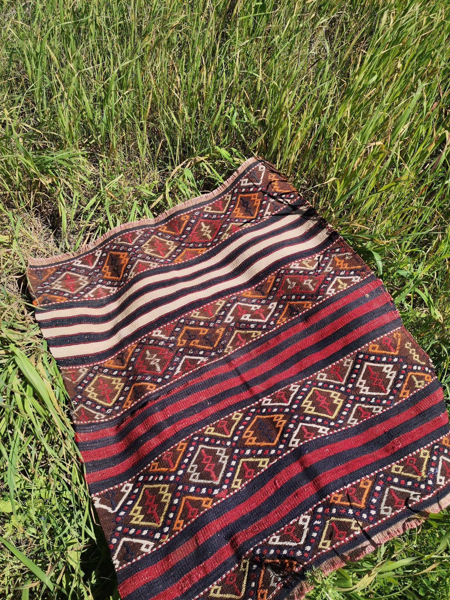 Gioia Anatolian Rug