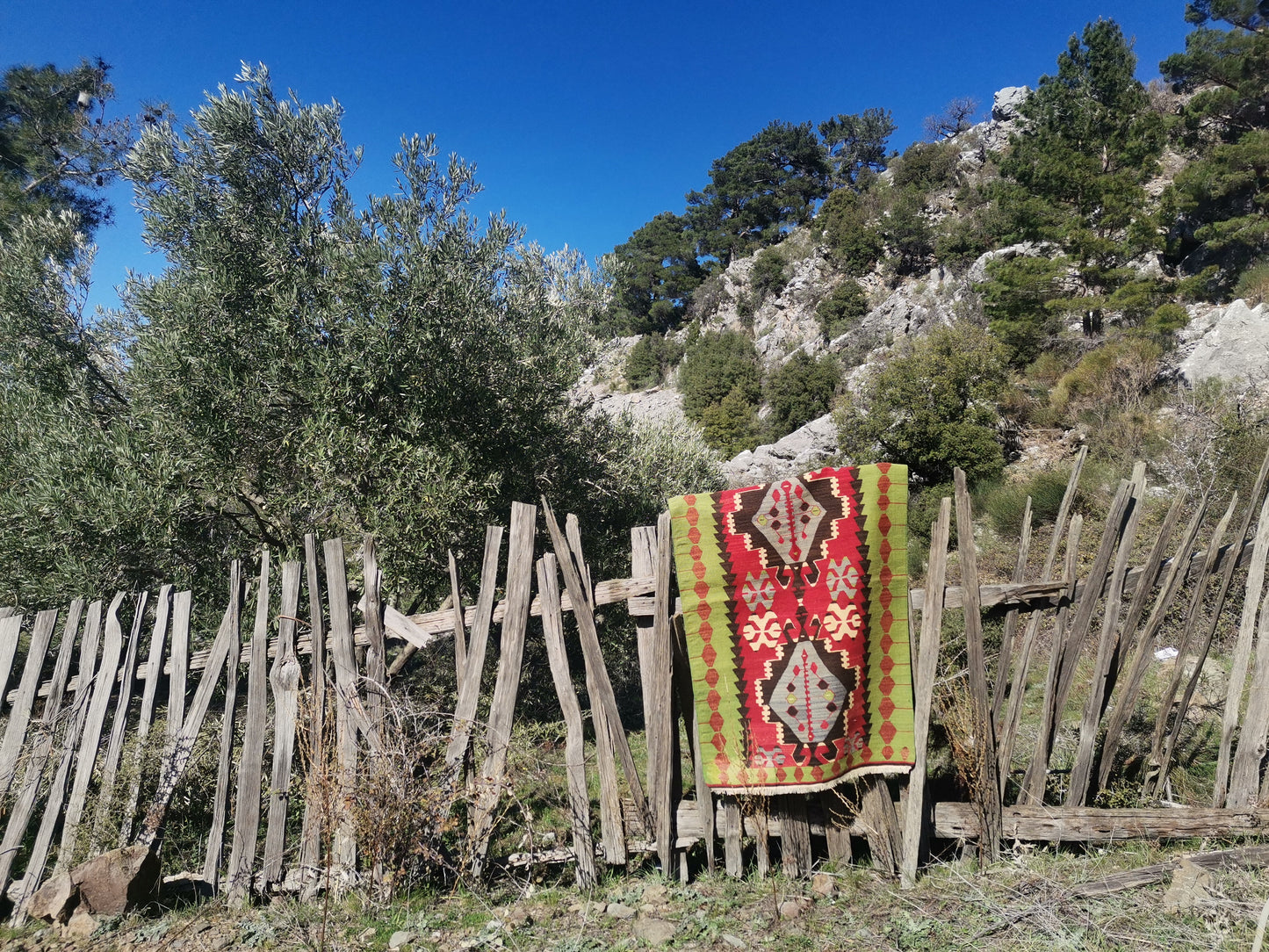 Luz Anatolian Rug