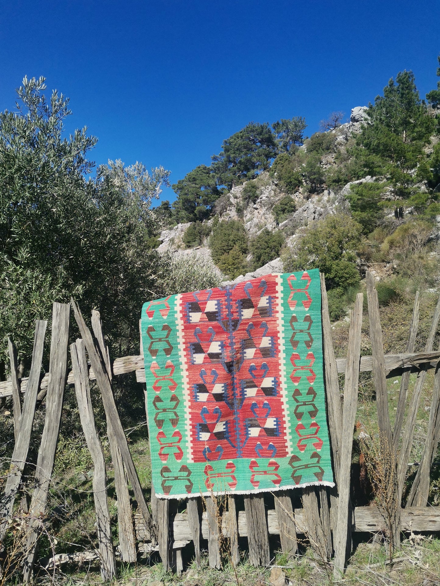 Alva Anatolian Rug