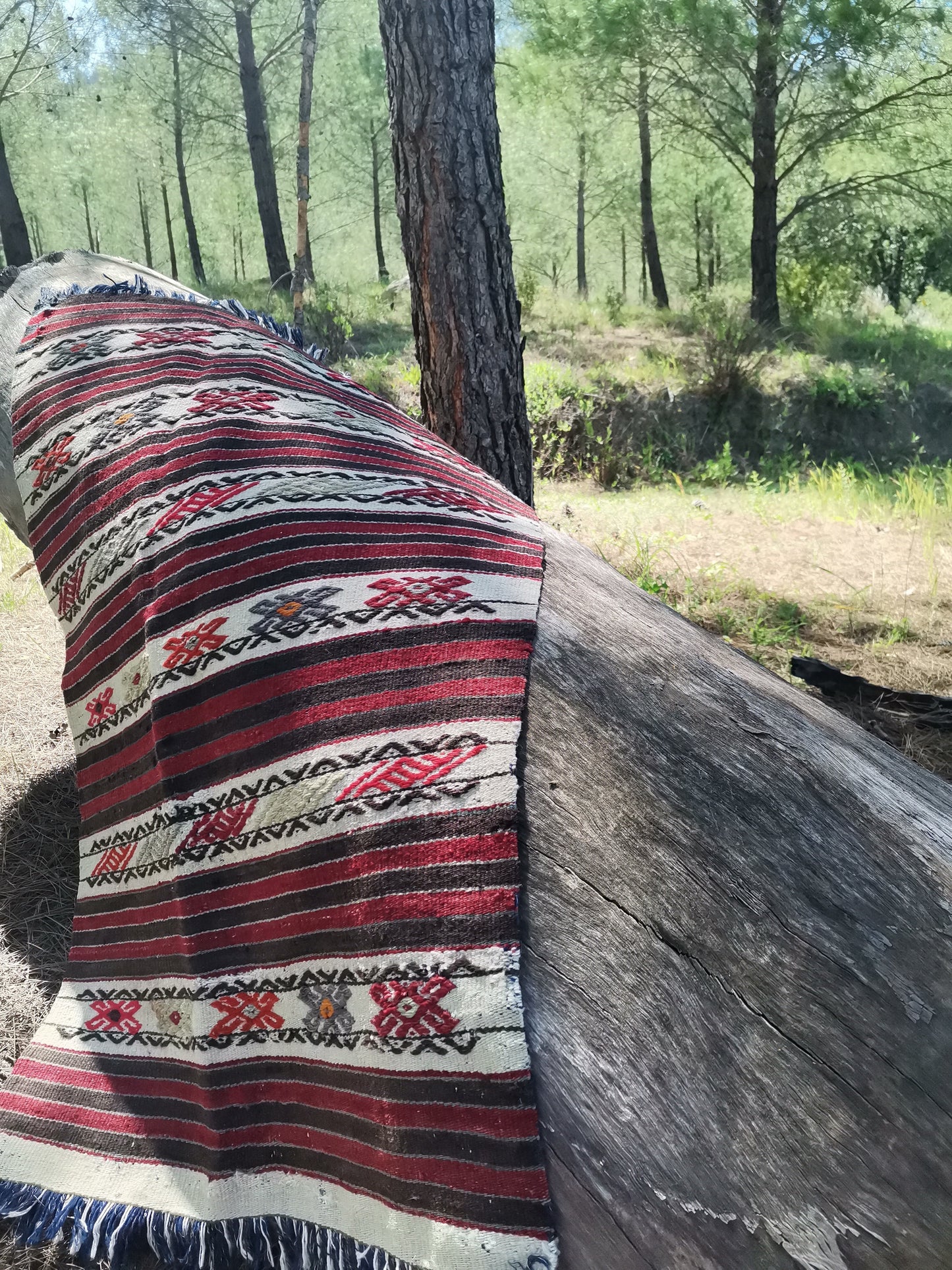 Anais Anatolian Rug