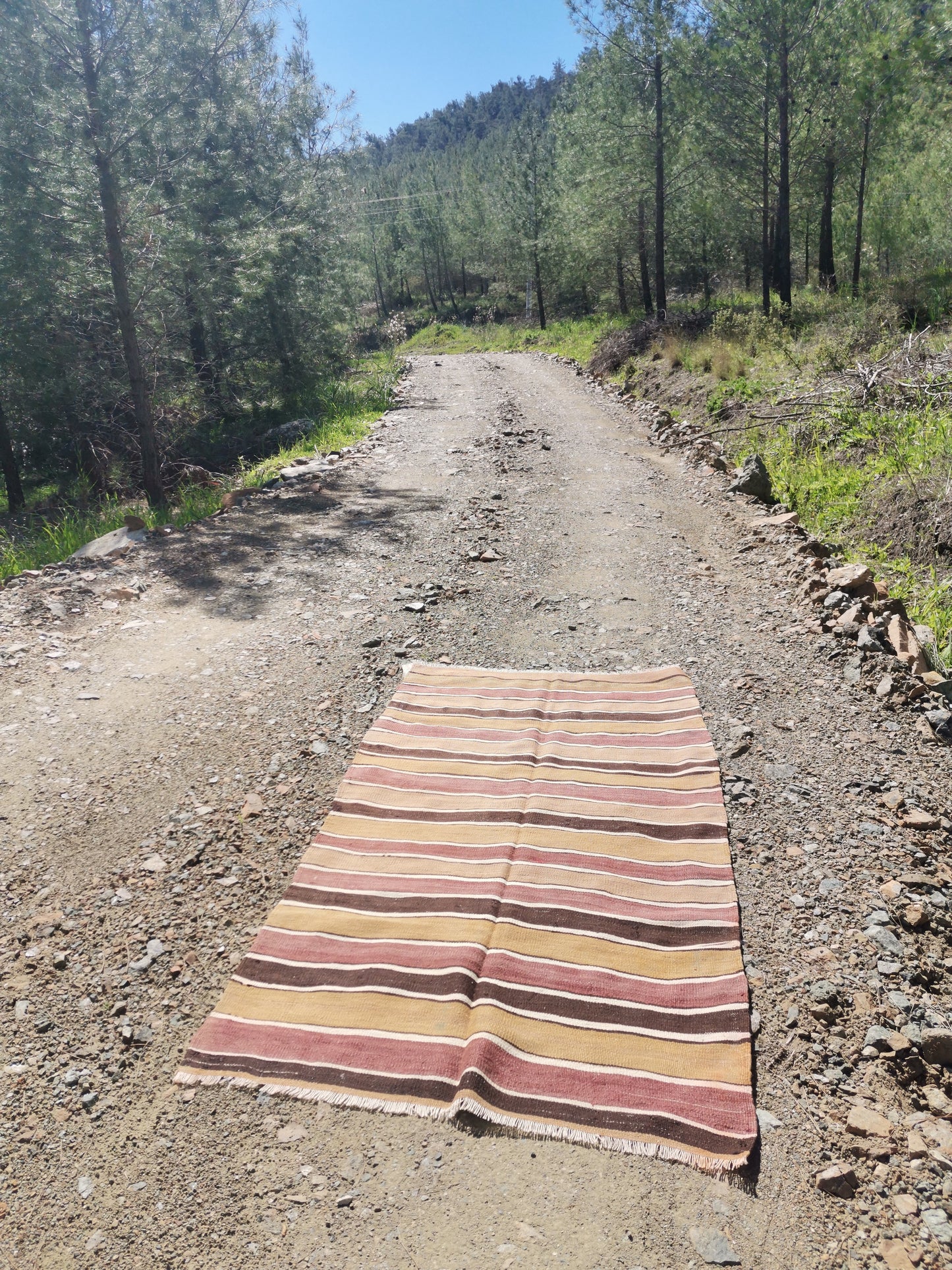Vega Anatolian Rug