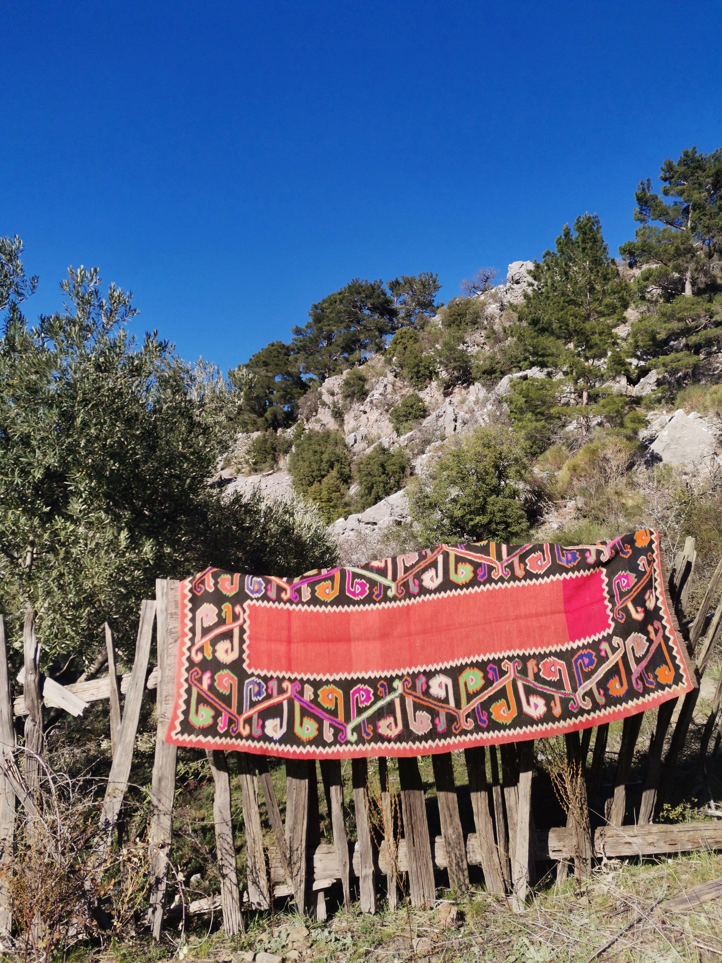 Lilou Anatolian Rug