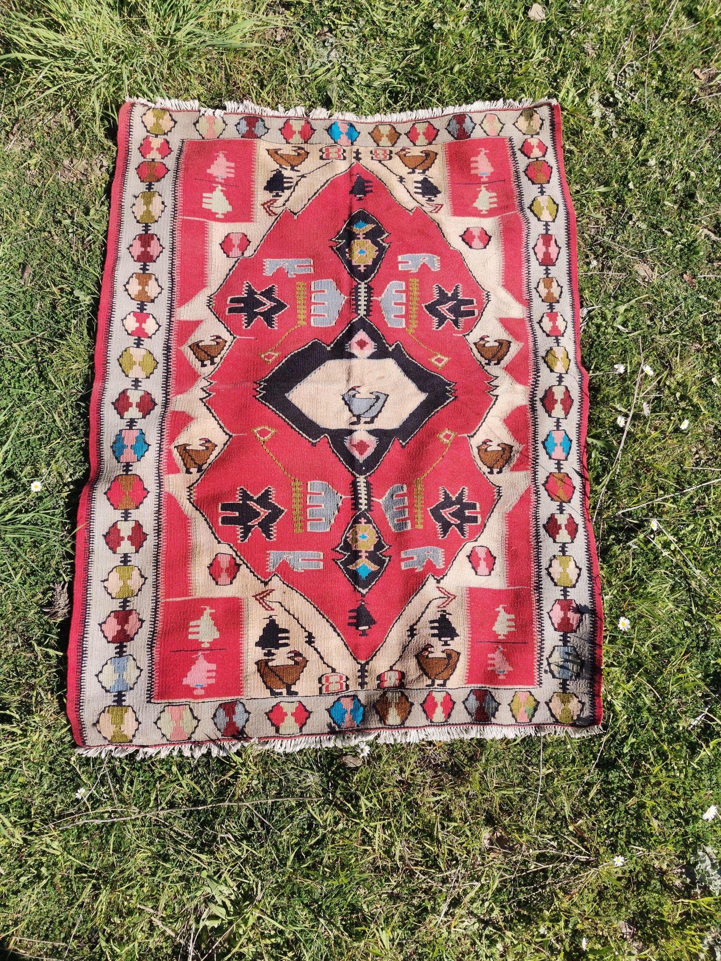 Feline Anatolian Rug