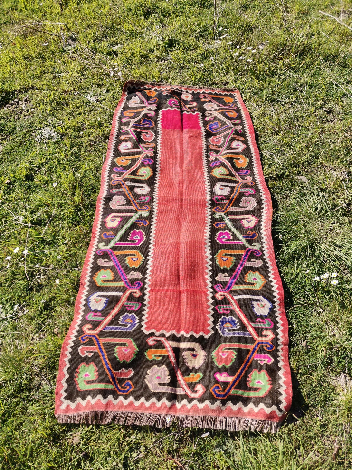 Lilou Anatolian Rug