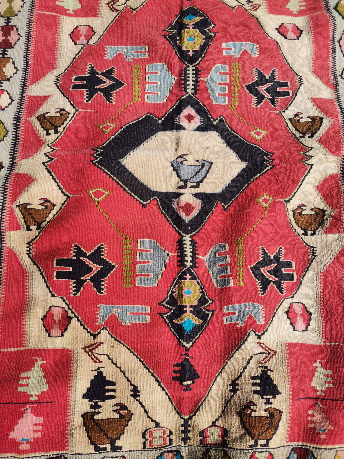 Feline Anatolian Rug