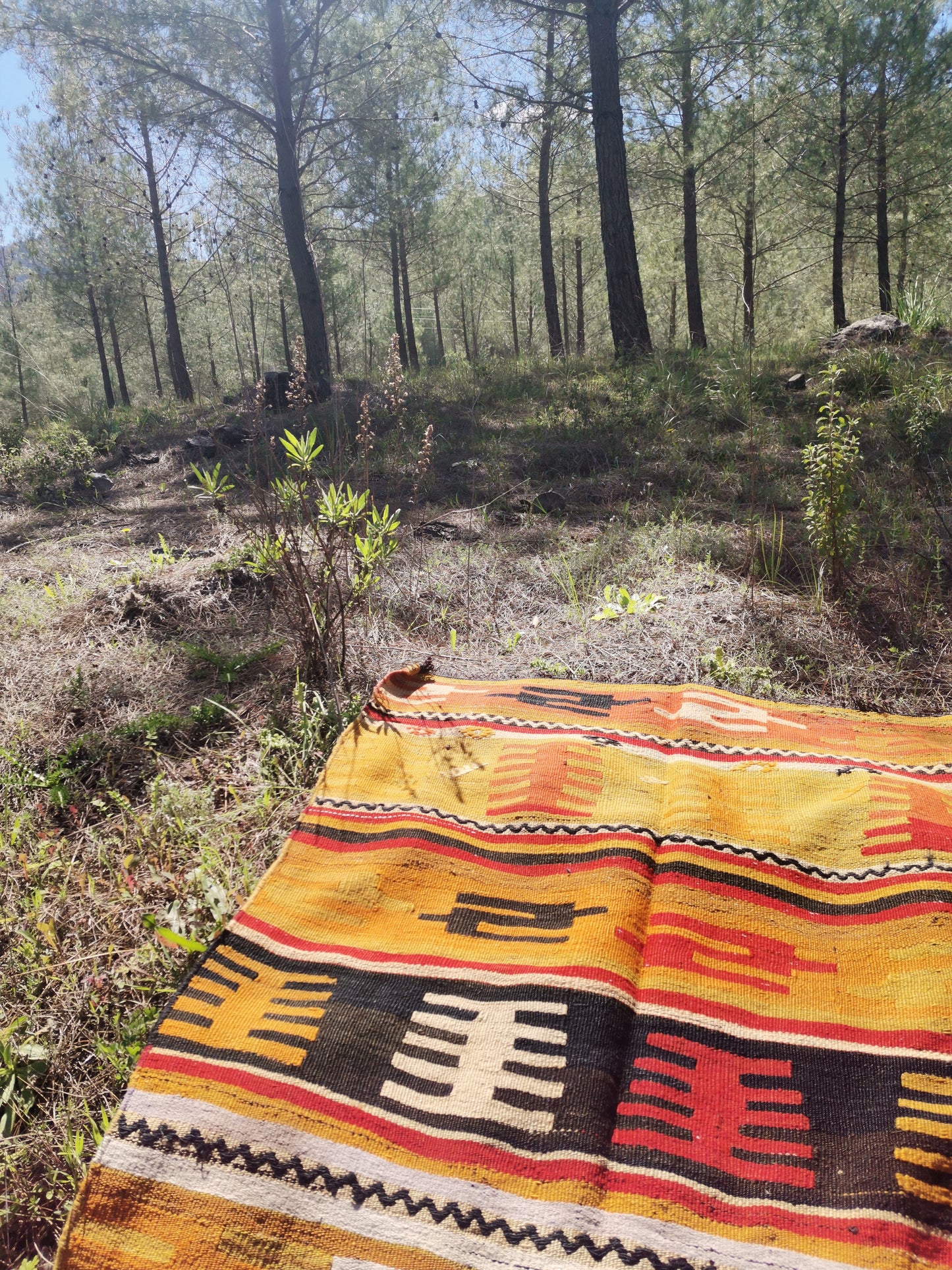 Nuria Anatolian Rug