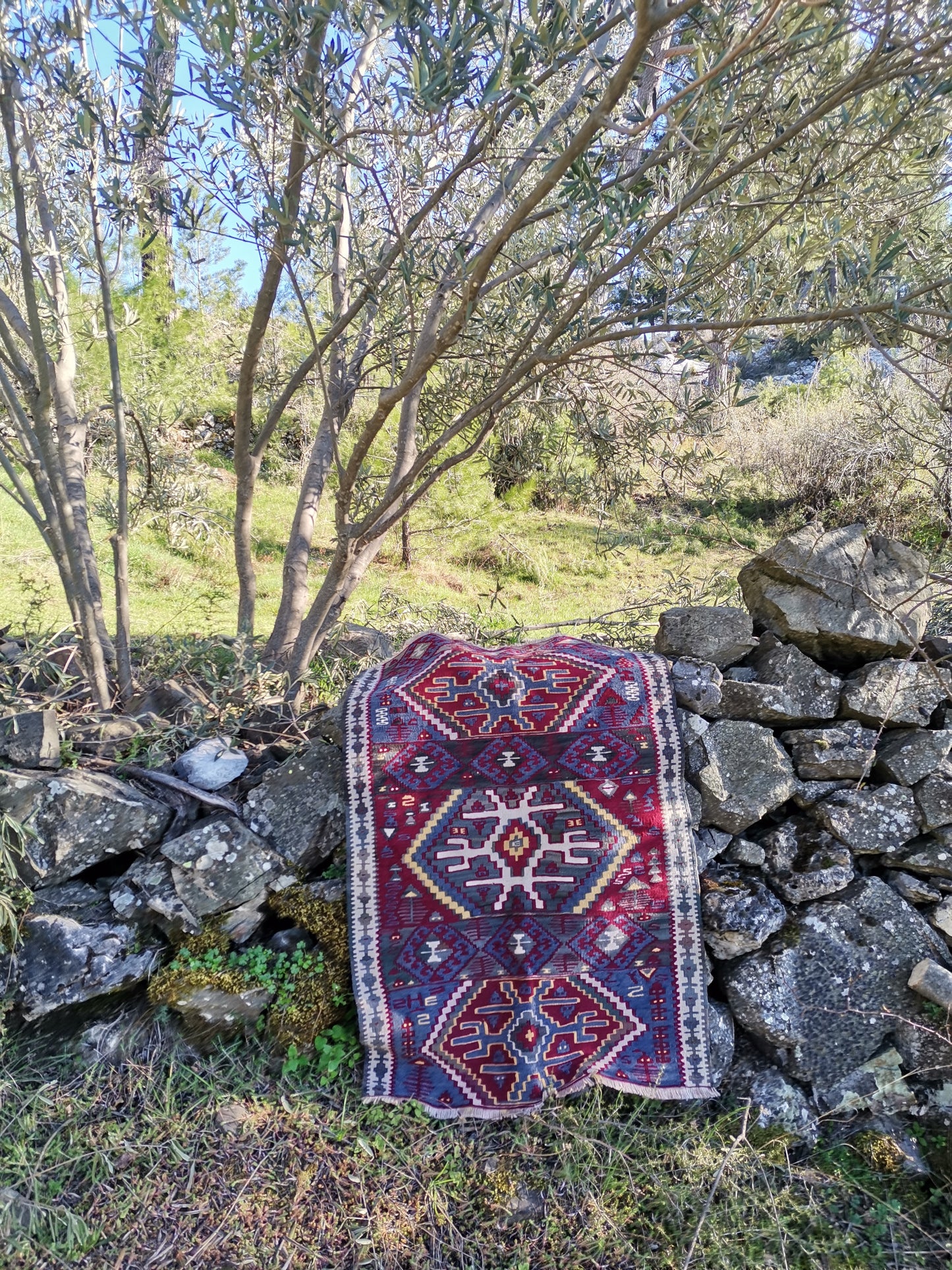 Ronja Anatolian Rug