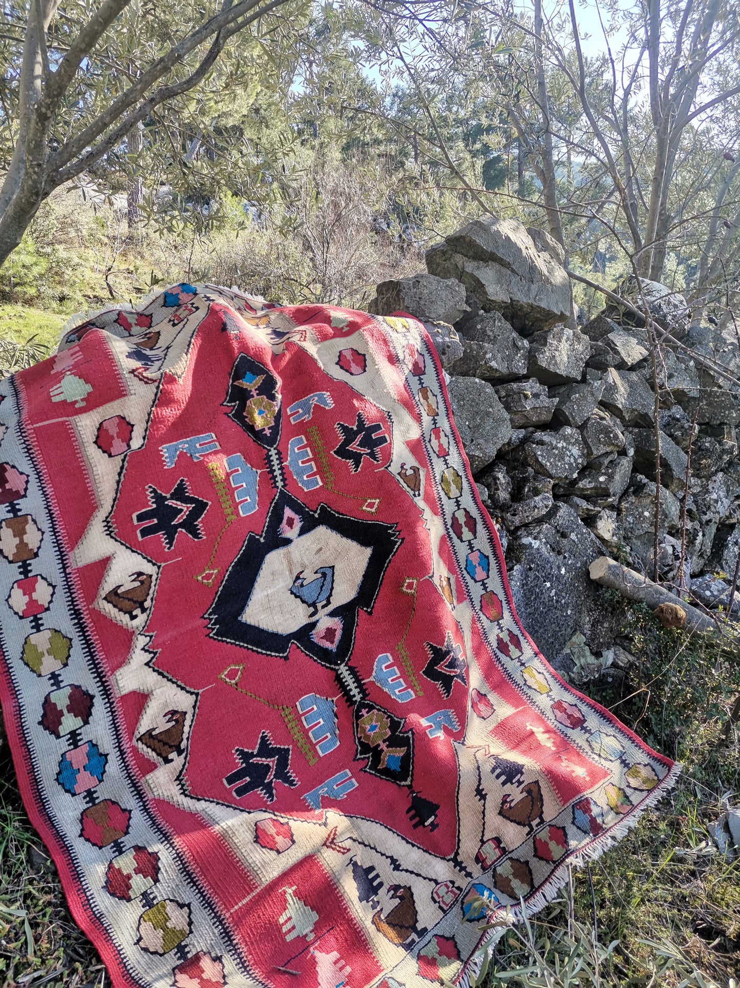 Feline Anatolian Rug